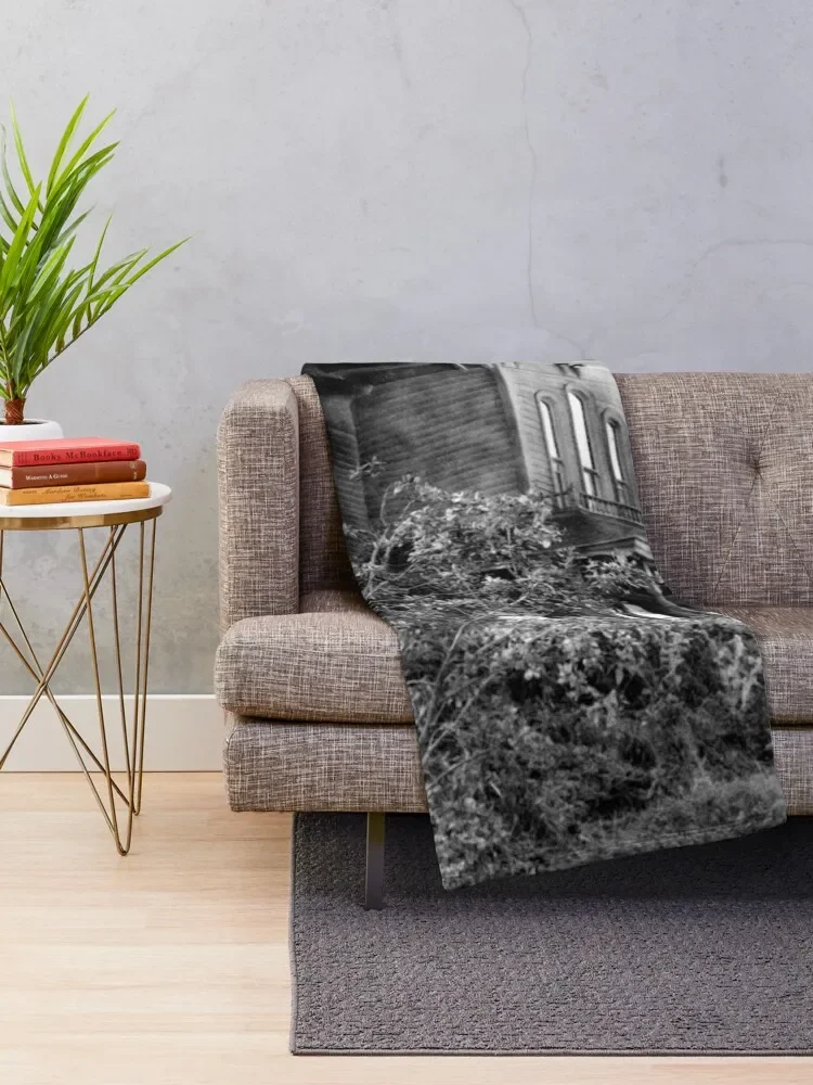 ������ �Ͽ콺 ��� ������ ������ ���,  ���� ������ ���� ���