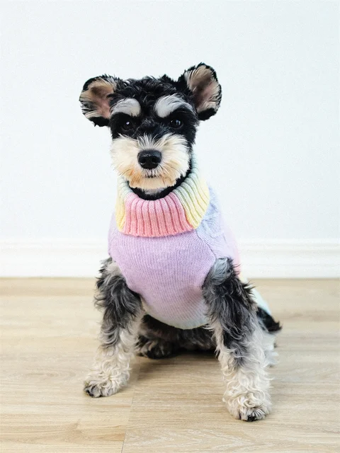 Girl Dog Clothes Adorable Valentine's Dog Hoodie Cozy Sweater