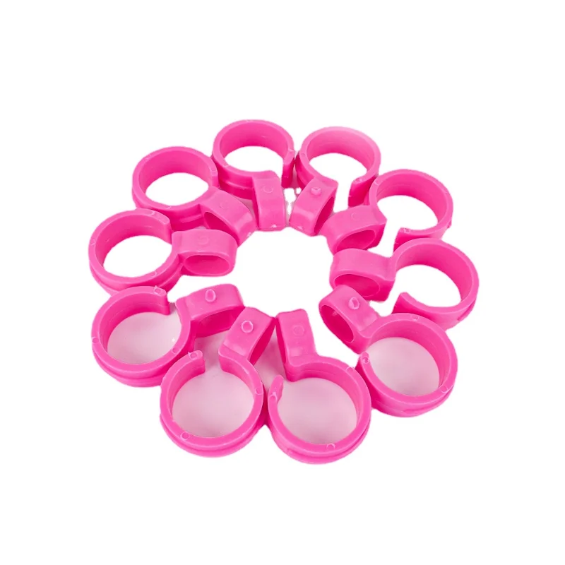 10Pcs Windproof Clothes Pegs Drying Clothes Buckles Hanger Windproof Hook Laundry Hook Clip Plastic Hanger Windproof Buckles 6