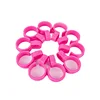 10Pcs Windproof Clothes Pegs Drying Clothes Buckles Hanger Windproof Hook Laundry Hook Clip Plastic Hanger Windproof Buckles 6