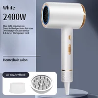 Internet Celebrity-Sèche-cheveux à séchage rapide, haute puissance, lumière bleue, soins capillaires, maison, salon de coiffure, marteau, 2400W, 220V, nouveau 1
