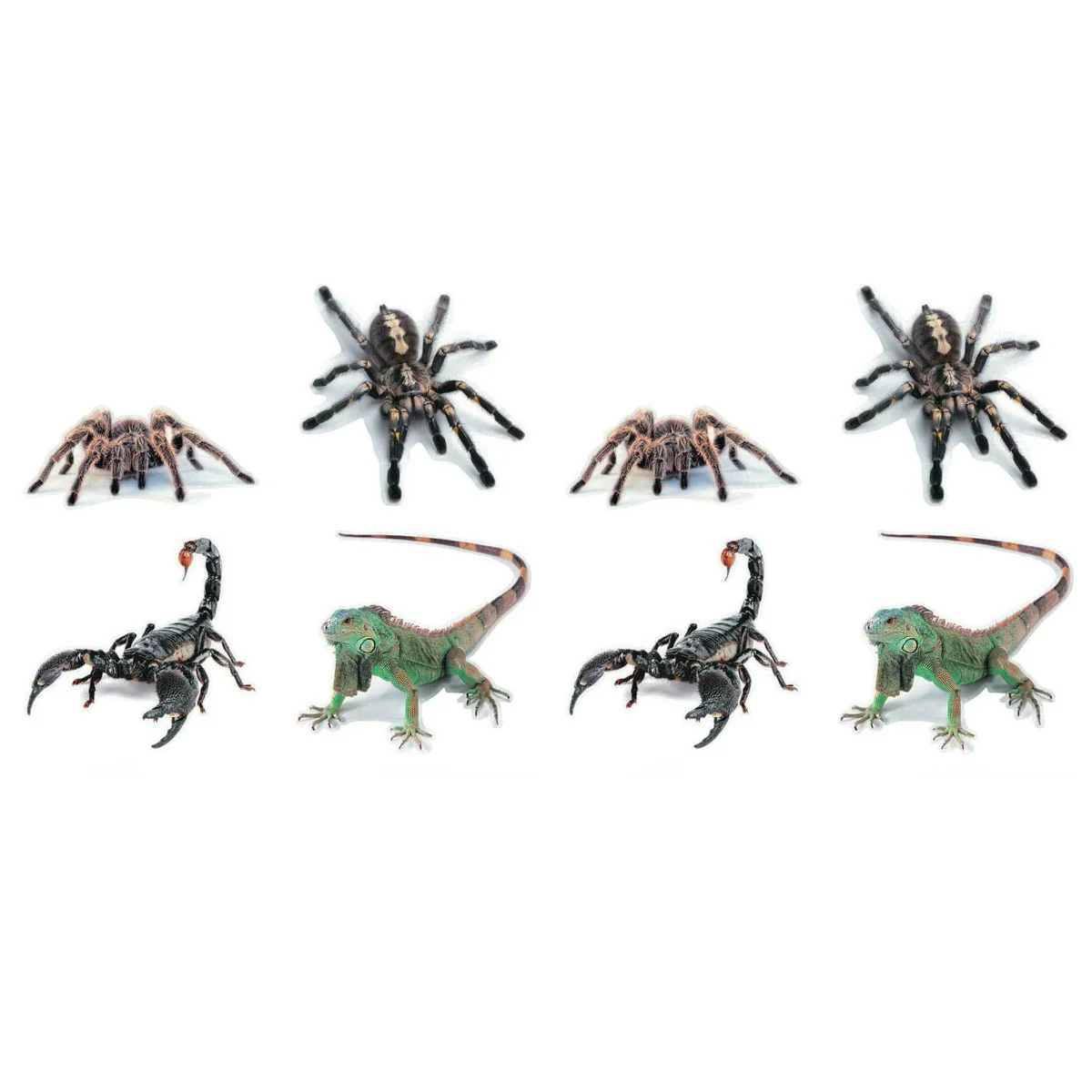 

8 Pcs Animal Car Stickers 3D Gecko Animals Pattern Decal Transparent Pvc Matte Child