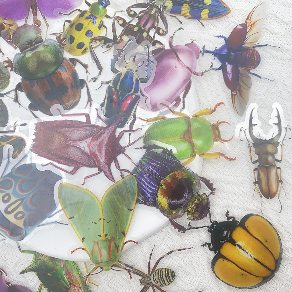 50pcs 곤충 잠자리 애완 동물 스티커 데칼 전화 노트북 노트북 스케이트 보드 기타 DIY 미적 투명 스티커