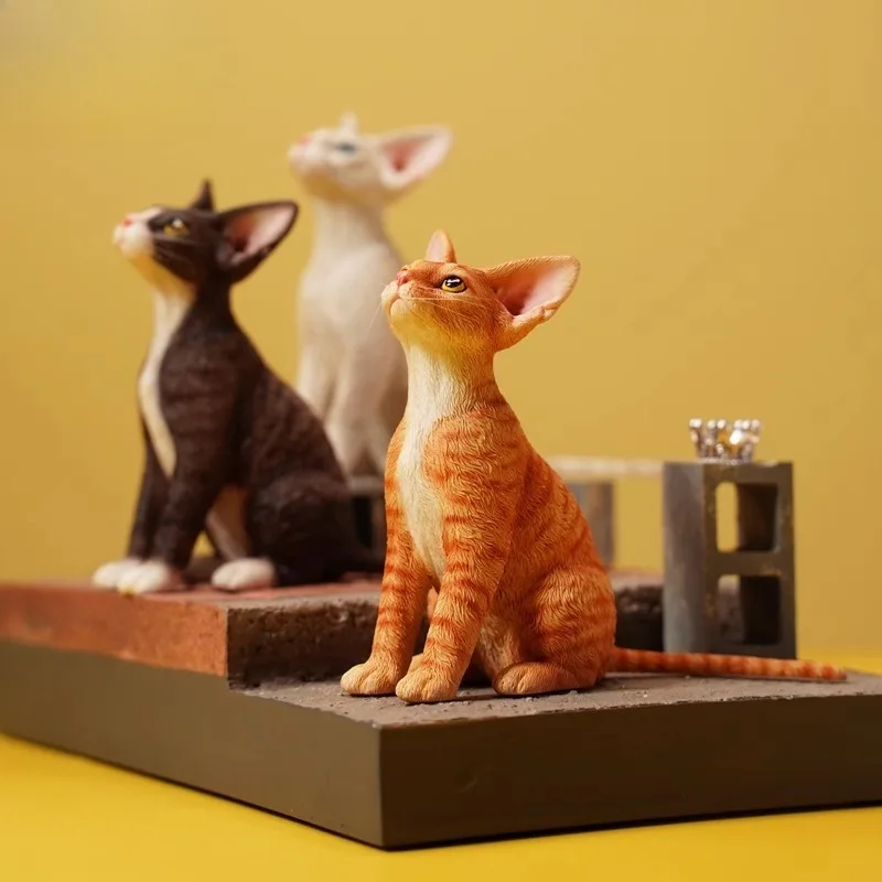 JXK 1/6 Skala Deutsche Lockige Katze Devon Rex Nette Simulation Kätzchen Tier Modell Fit 12'' Action-figuren Desktop Ornament geschenk