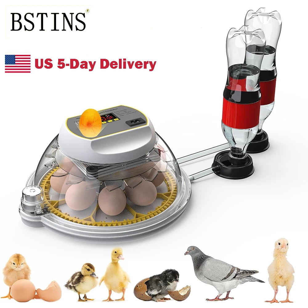 Egg Incubator 8 Egg Automatic Incubator for Eggs Brooder Chicken Duck Quail Birds Electric Incubation 12V 110V 220V