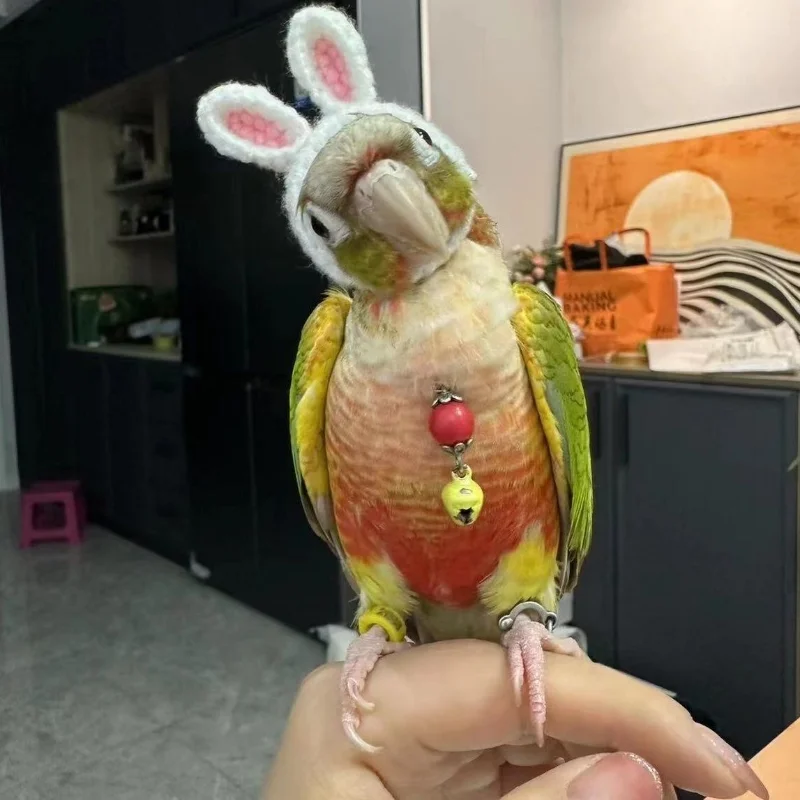 Budgerigar Cockatiel Peony Parrot Bird Hat Pet Wool Crochet Knitted Small Hairgear Headgear Casque Cover Birds Toys
