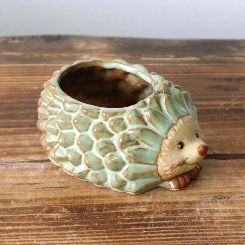 Ceramic Hedgehog Succulent Planter - Cute Decorative Bonsai Flower Pot