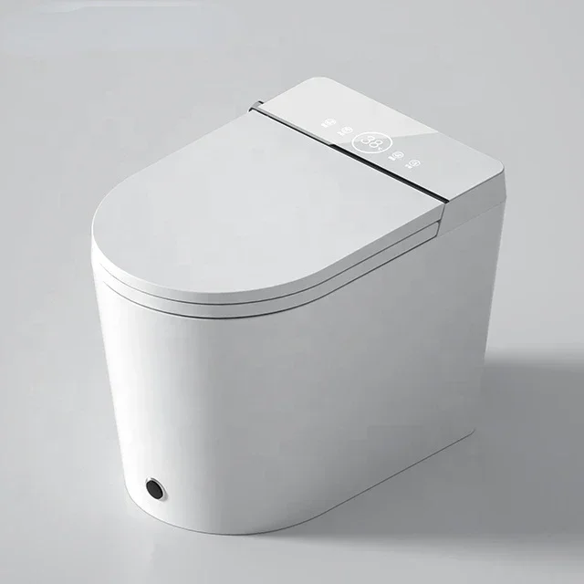 

Sanitary Wares Bathroom Wc Automatic Electronic Bidet Intelligent Smart Toilet