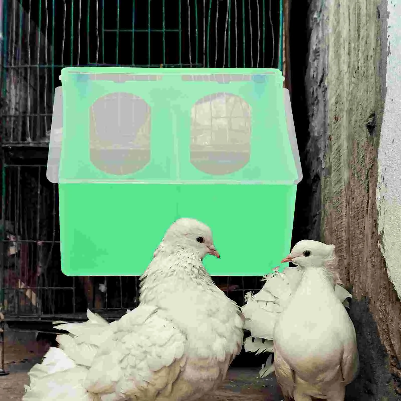 

Pigeon Feeder Water Quail Bird Chicken Feeder Water Dispenser Drinkers Food Feeding Hanging Box Poultry Pigeon Parrot Parakeet