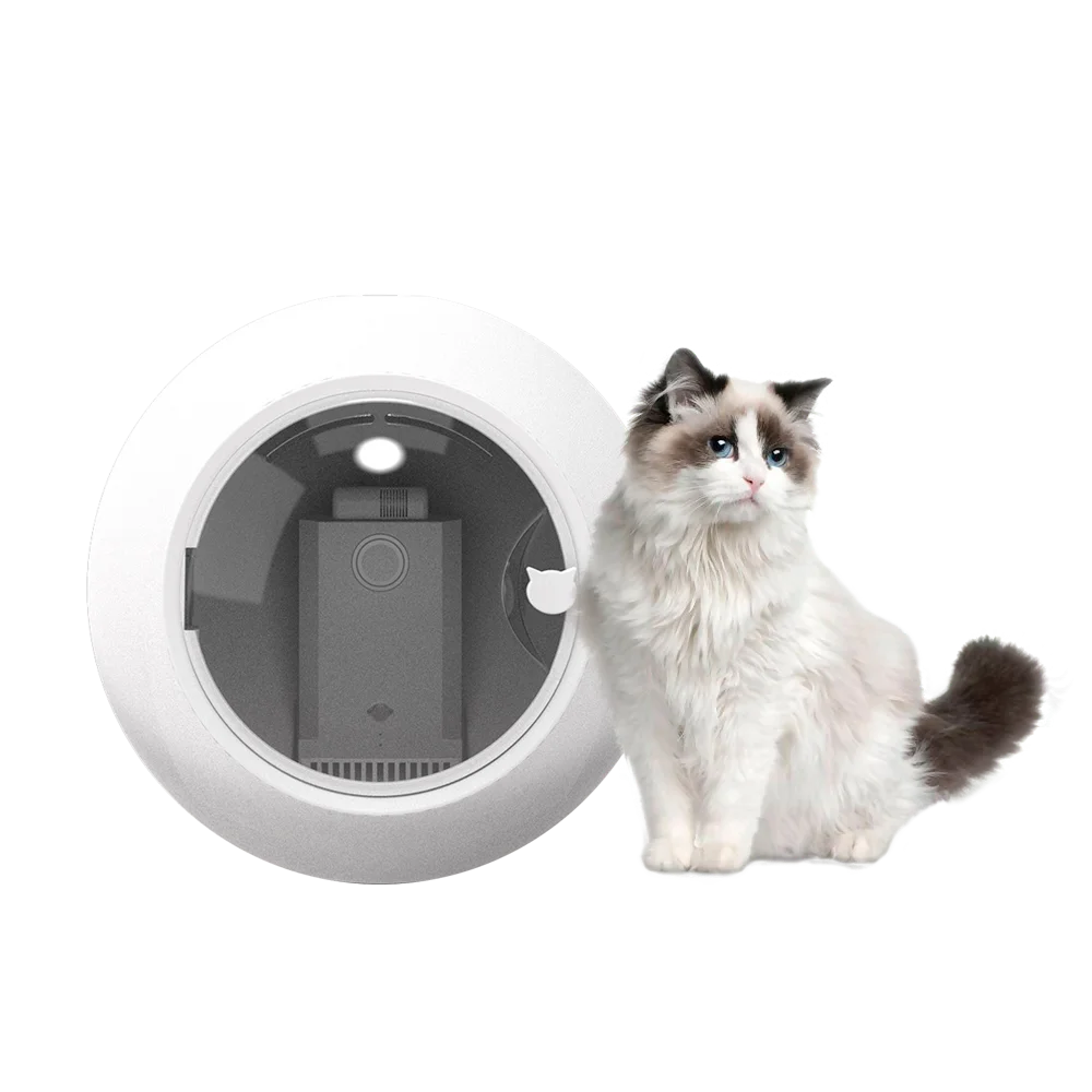 

Pet Hair Blowing Dryer Machine Silent Automatic Smart Dog Cat Mascotas Asciugatrice Secadora Pet Room Dryer Box