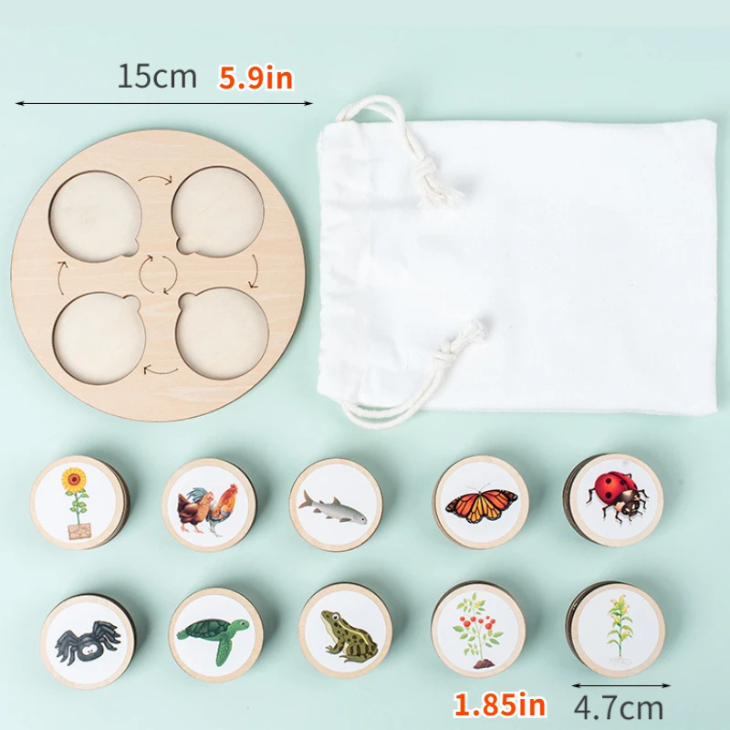 Life Cycle Board Montessori Kit Biology Science Education Toys For Kids Sensory Tray Animal Figure Life Cycle Sorting Wooden Toy 4