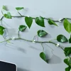 Invisible Plant Support Clips for Climbing Orchid Flower Ties Tomato Vine Plastic Garden Self-Adhesive Wall Fixture Binding Hook 3