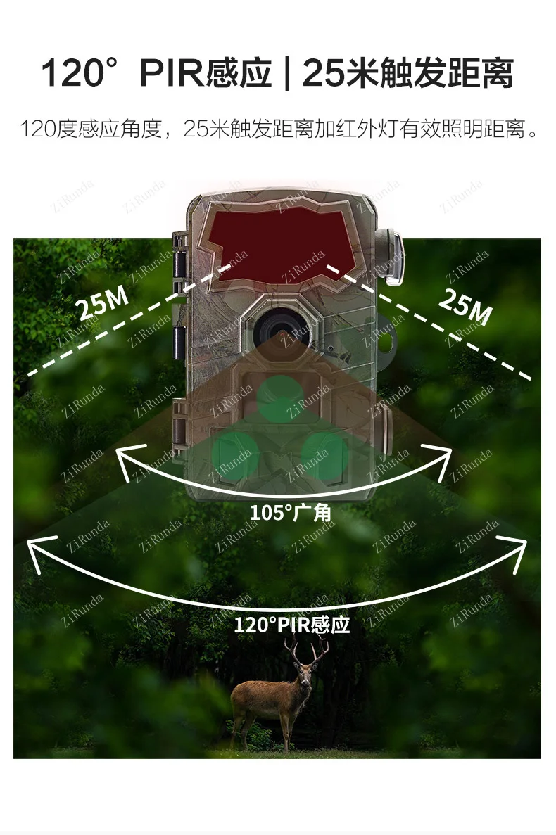 적외선 카메라, 필드 카메라, 야간 투시경, 방수, 시간 경과, 야외 동물 사진