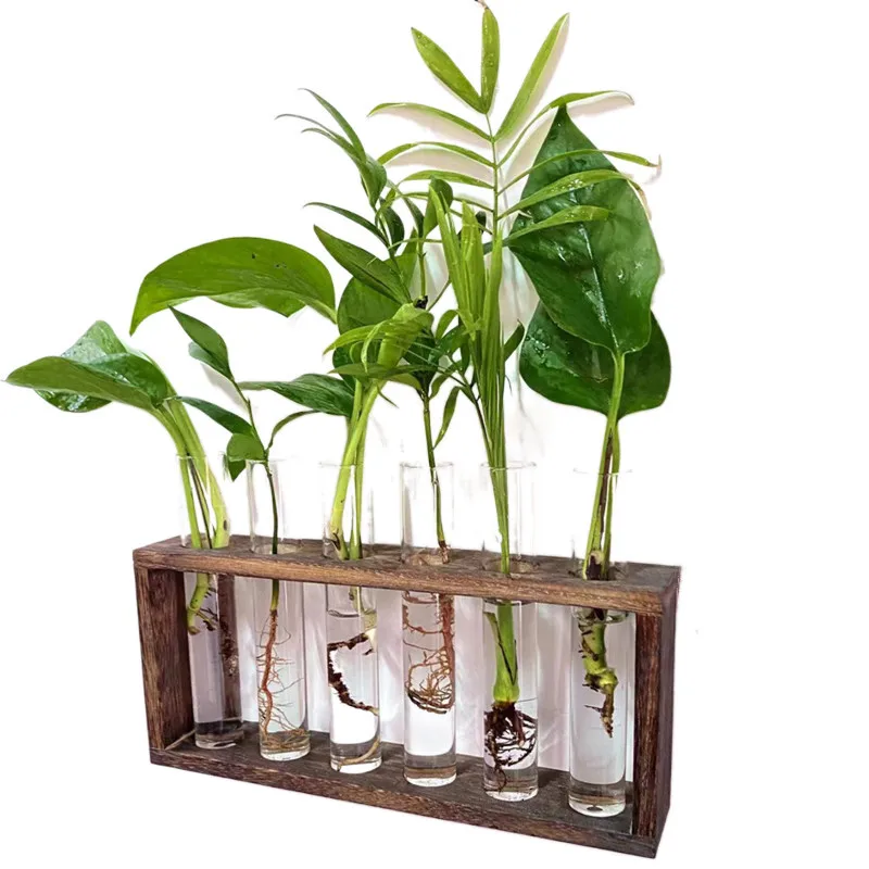 

Wall Mounted Hanging Planter Test Tube Terrarium Flower Vase pot Tabletop Glass holder Hydroponic Great Propagators for Cuttings