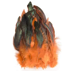 Natural Pheasant Feather Craft Set - 50PCS Decorative Plumes for DIY and Jewelry Projects (Orange)