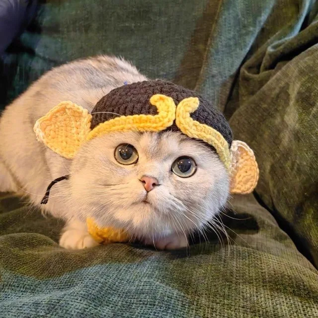 Cute Cat Hat Funny Pets Party Cosplay Headwear Delicate Hemming Pendant Decor Elasticity Knitted Hat Pet Accessories 6
