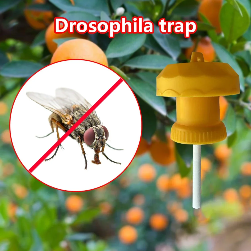 1-6PCS Fruit Fly Trap Plastic Drosophila Trap Anti Fly Fruit Fly Killer Catcher Orchard Insect Trap Pest Control Products