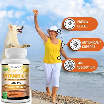 Elderberry Vitamin C Vitamin D3 Capsules for Men & Women, Supports Immune Health, Promate Metabolism, 120 Capsules