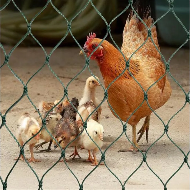 5m *3m Garden fence mesh Simple and convenient fence Fishing net Gardening net A for chickens, ducks, cats and dogs
