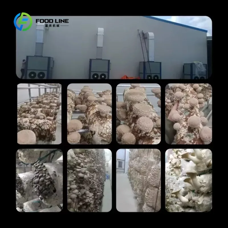 รูปสินค้า ระบบปลูกเห็ดผักอัจฉริยะ Smart Farm