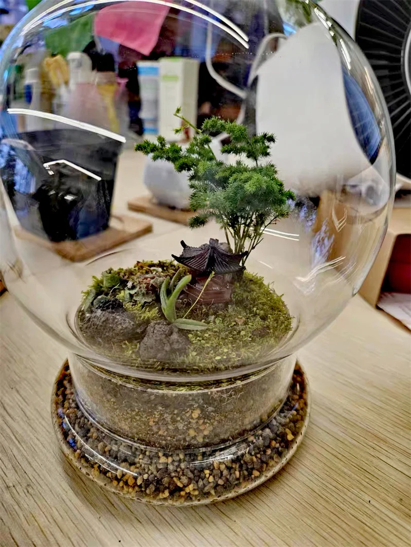 Split type Spherical Micro Landscape Vase Containers Desktop Glass Vase Green Moss Bansai Landscape Glass Terrarium Home Decor 6