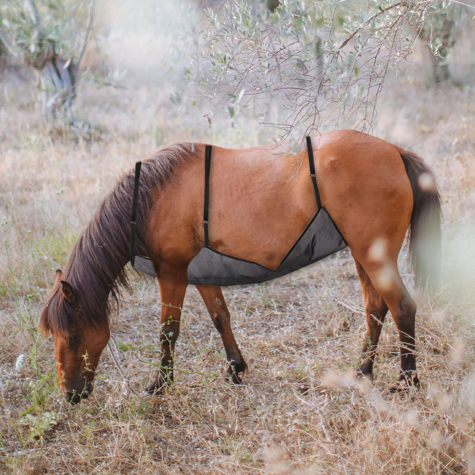 Horse Belly Protection Cover Adjustable Fly Rug Net Comfortable Protective Anti-Mosquito Mesh Equestrian Supplies