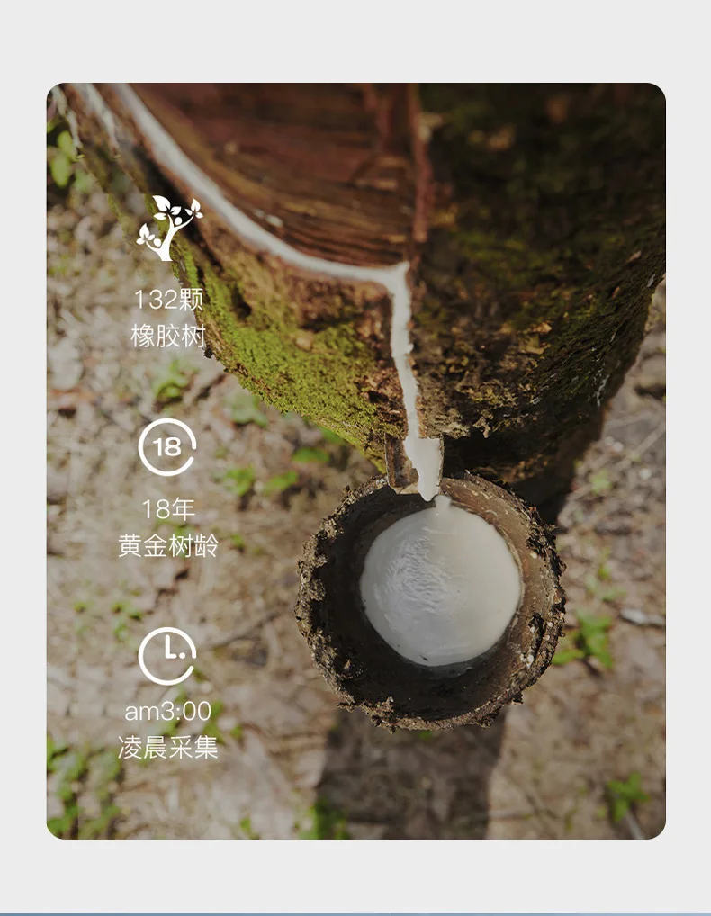 Description Picture 6 of itemLatex mattress soft cushion home single tatami sponge mat student dormitory bed rental special floor bedding sleeping mat