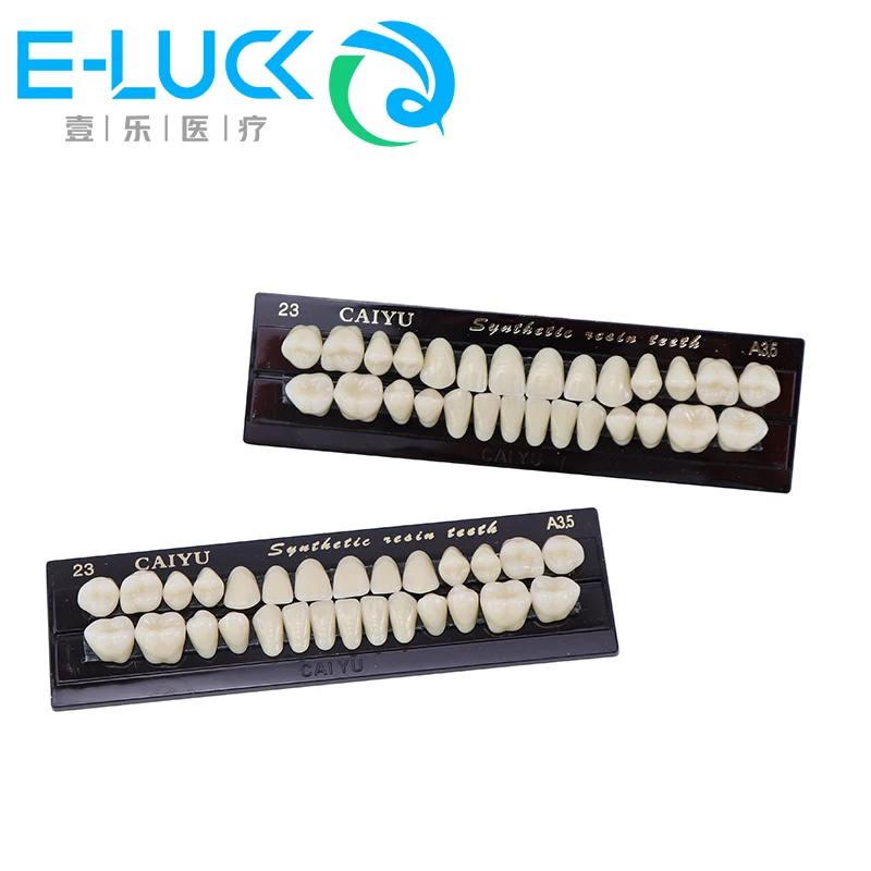 

Dental tools Teeth Model odontologia Resin Teeth Material Comparator Universal Resi False Model Durable Dentures Teeth Teaching