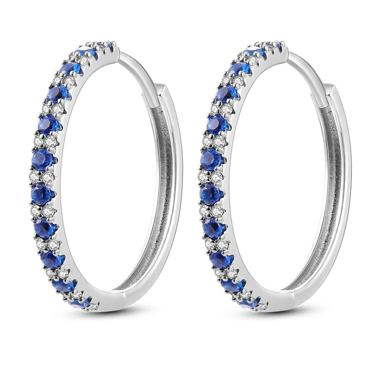2025, neue Ohrringe aus S925-Sterlingsilber mit bunter Atmosphäre, geeignet für Geburtstagsgeschenke für Frauen als Boutique-Schmuck – Detail 13