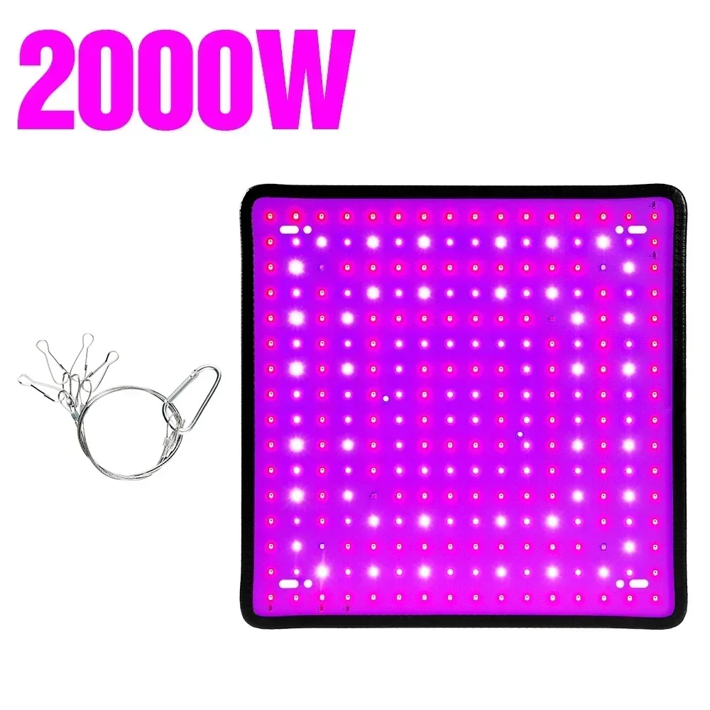 A-256 leds