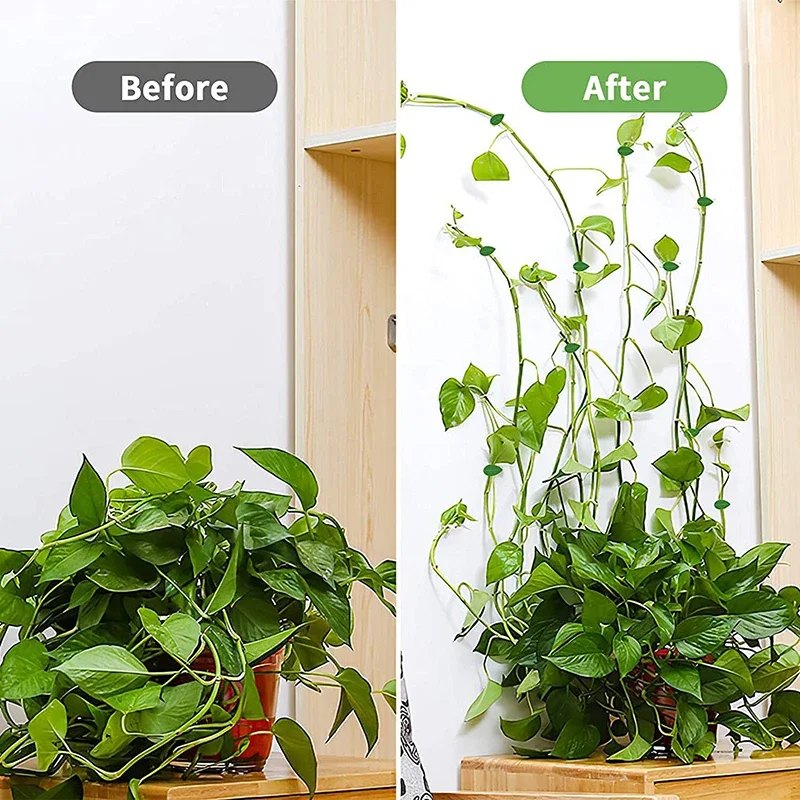 10-30pcs Plant Climbing Wall Fixture Clips Invisible Self-Adhesive Hook Vine Traction Home Garden Decor plastic plant clips,plant clips,plant adhesive hooks,plant wall hooks