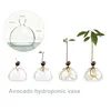 Avocado Hydroponic Vase Glass Storage Container Home Decoration Living Room Decoration Avocado Kernel Seeds Small Flower Vase 6
