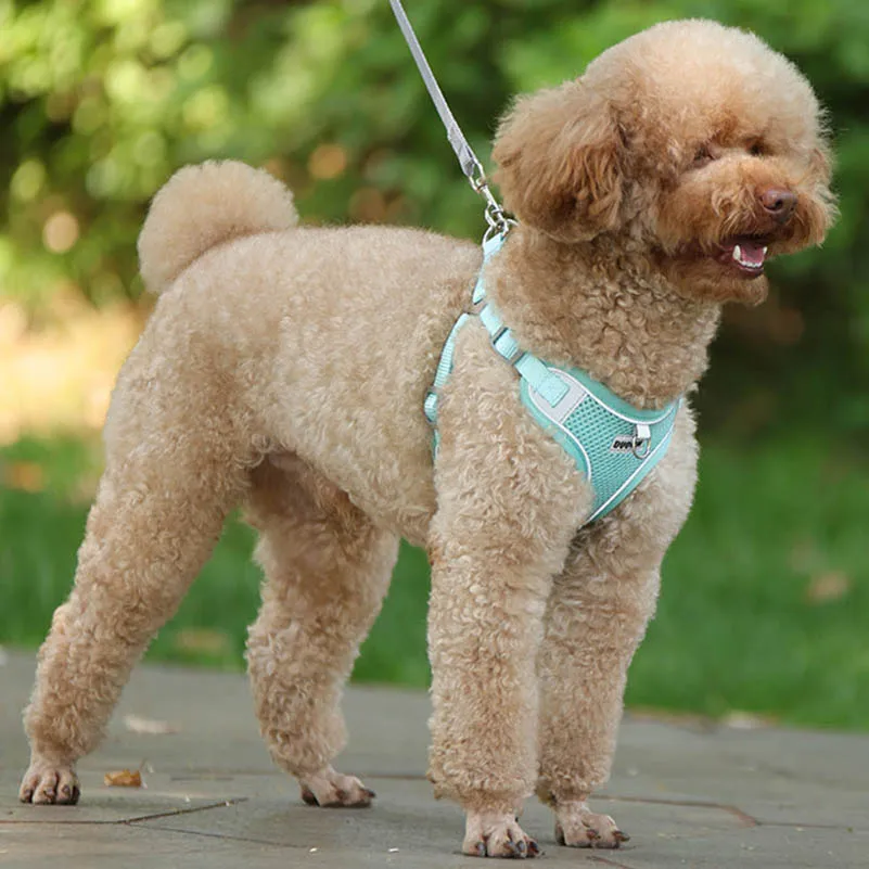 Dog Harness Clothes Vest for Small Medium Dogs Harness Leash Set