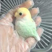 New Cute Parrot Flocking Handmade Silicone Fidget Fingertip Toy Kawaii Color Plush Bird Birthday Gift For Kids Squishy Pendant 1