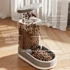 Pet Automatic Feeder Cat Food Bowl Things for Cats Puppy Bowl Feeding Watering Supplies Drinker Dog Food Storage Dispenser 1