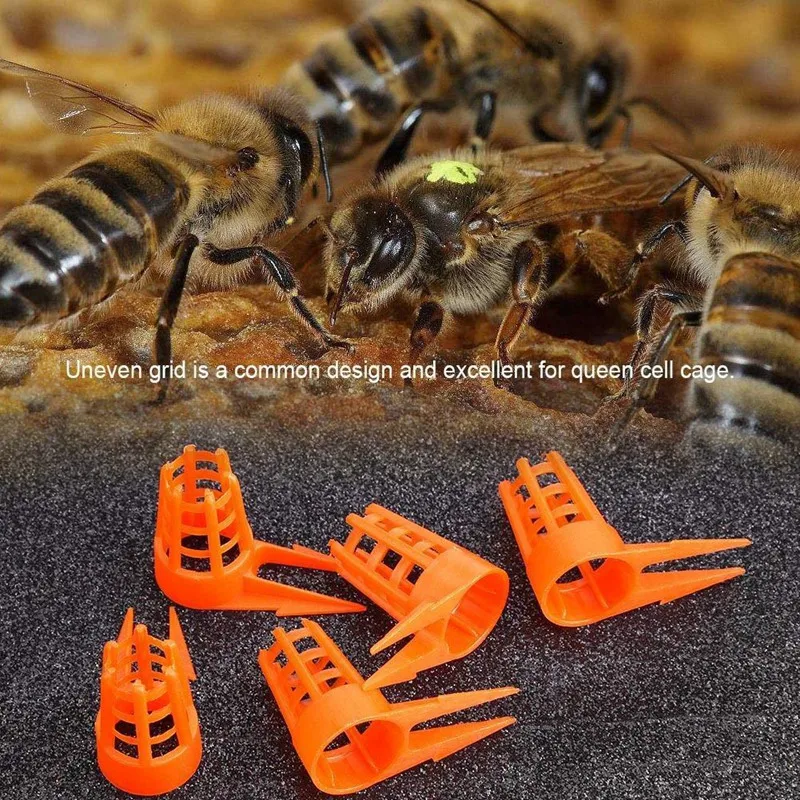 50Pcs Bee Queen Cages Protective Cover Plastic Honeycomb Cages Cell Protection Cap Beekeeping Breeding Supplies