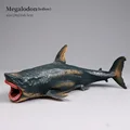 Shark-7