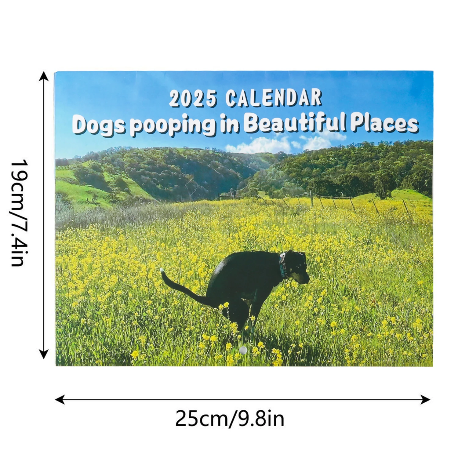 Wall Calendar Funny Dogs Pooping Hangable Daily Weekly Monthly Planner