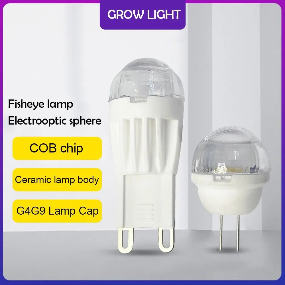 

220V Light Bulb New White Light/Warm Light Replacement Halogen Lamp Lighting Antiflare Spotlight Home Decoration