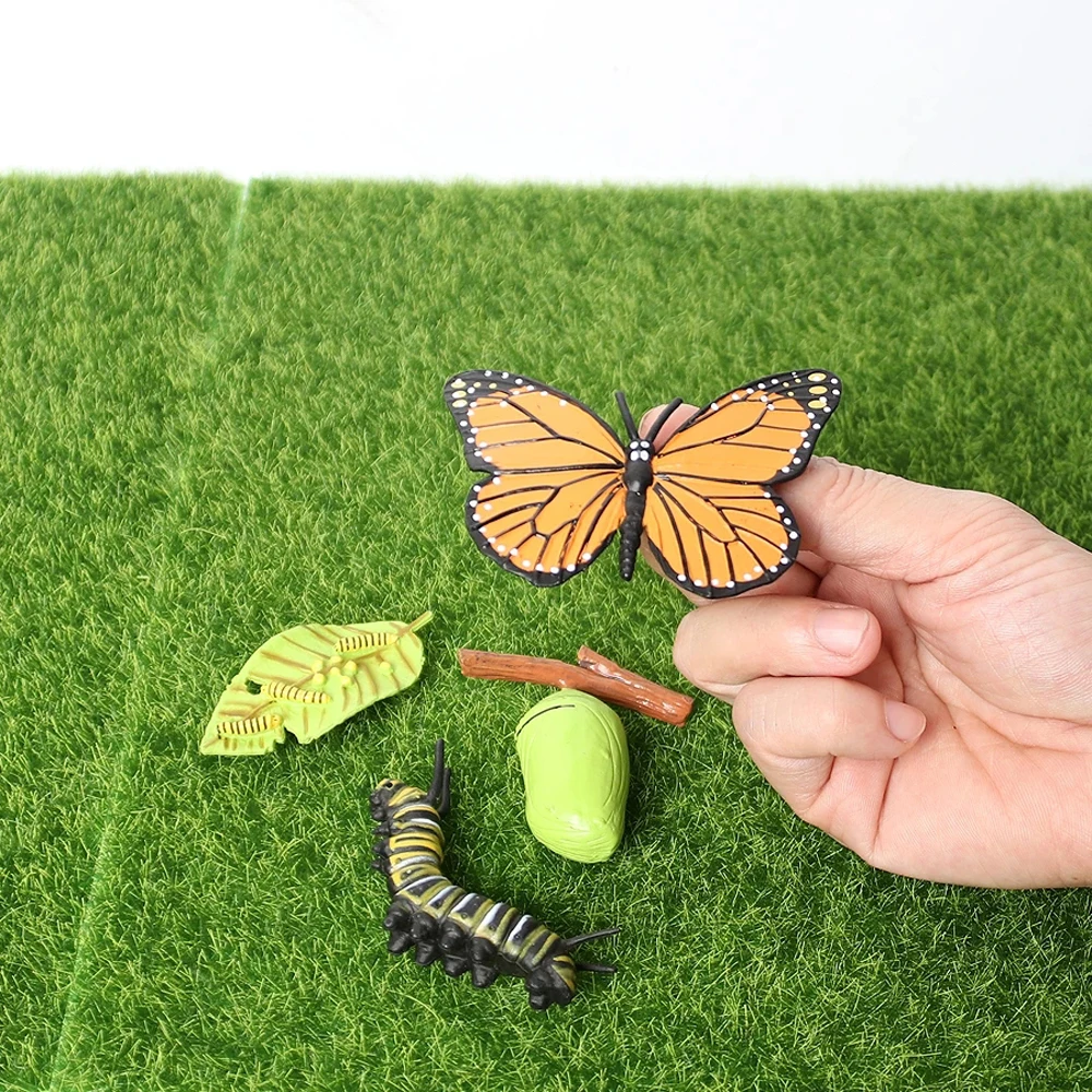 Newest Simulation Animals Growth Cycle Model Bee Spider Butterfly Action Figures Figurine Cute Kids Baby Toy Figures Educational 4