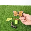 Newest Simulation Animals Growth Cycle Model Bee Spider Butterfly Action Figures Figurine Cute Kids Baby Toy Figures Educational 4