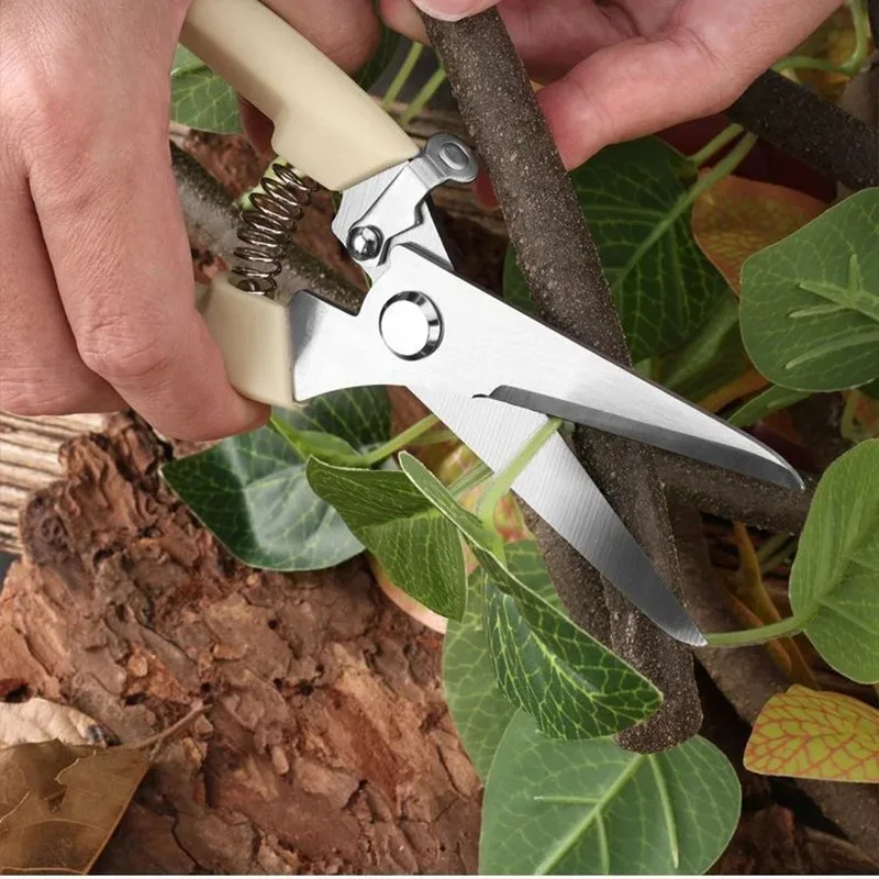 Pruning Shears for Garden - Image 5