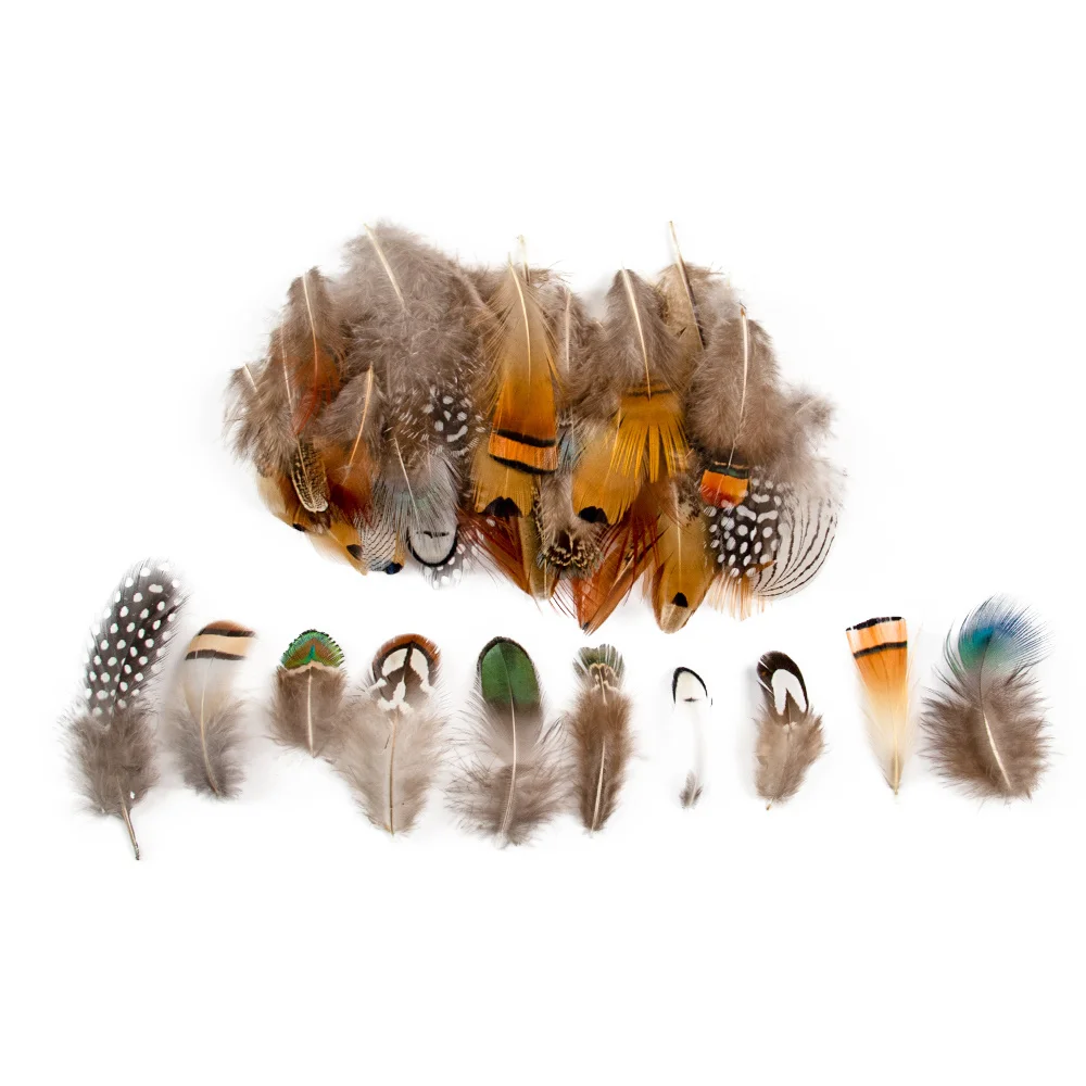 Natural Duck Pheasant Feather 100PCS Small Soft Feathers For Craft Jewelry Making Clothing Carnaval Assesoires Plumas Decoration