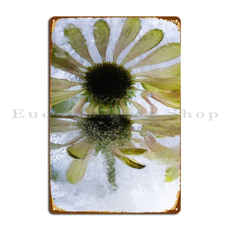 Colorato Echinacea 2 Targhe In Metallo Targhe Club Wall Murale Tin Sign Poster