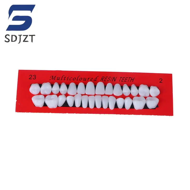28PcsSetUniversalResiFalseTeethResinTeethModelDurableDentures