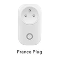 France Plug
