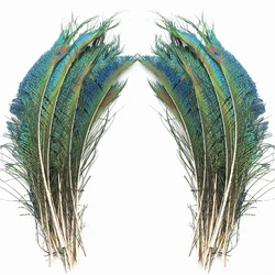 10 - Piece Set of Natural Peacock Feathers for Crafts, Jewelry, and Decoration (Peacock Sword)