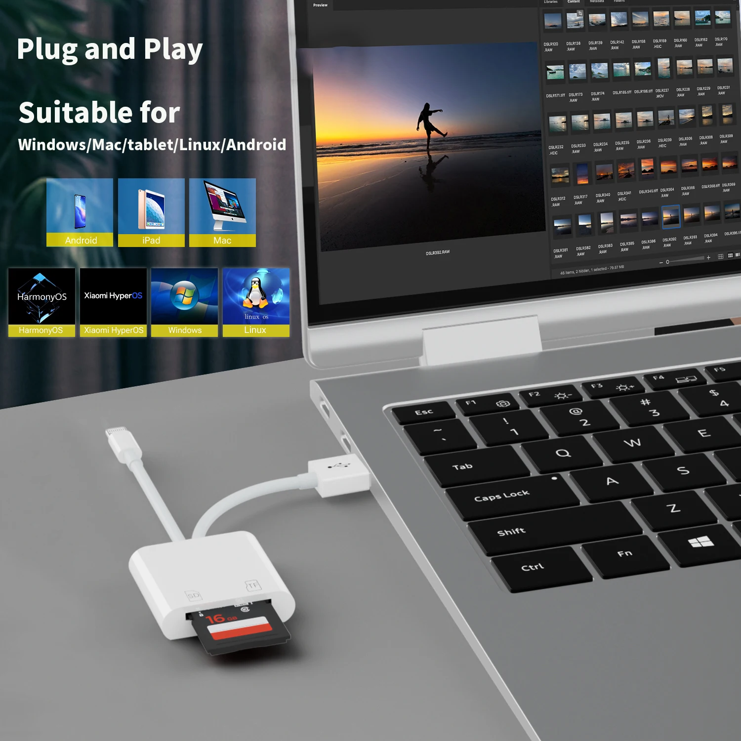Memory Card Reader with USB Camera Adapter Plug and Play Trail Game Camera SD Card Viewer Supports SD and TF Micro
