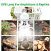 13W UVB Heating Lamps 5.0 10.0 Reptile Lamp Energy Saving Light Turtle Lizard Snake Reptile UVB Heating Lights 1