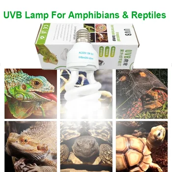 13W UVB Reptile Heat Lamp 1